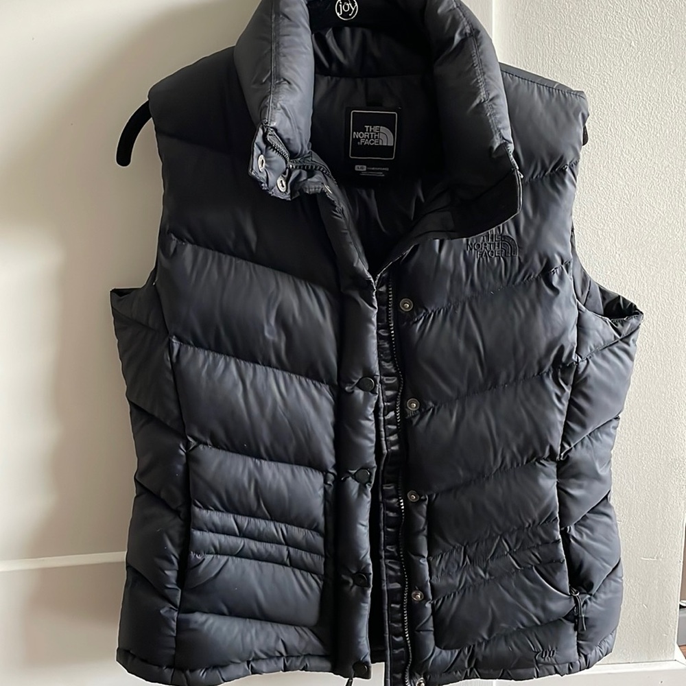 The north face vest